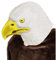 W WIDMANN MILANO Party Fashion 96635 - Ganzkopfmaske Adler, Tiermaske, Karneval, Mottoparty