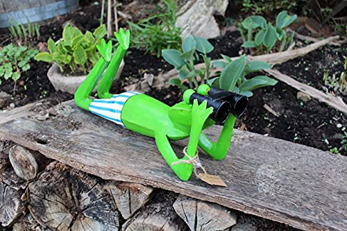 Gwenys Haus Frosch mit Fernglas liegend