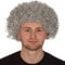Redstar Fancy Dress - Afro-Perücke für Erwachsene - Locken - Party Clown Kostüm - Accessoire - Grau