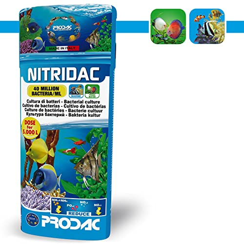 Prodac NITRIDAC ATTIVATORE BATTERICO per Filtro Biologico Acquario Dolce Marino 250 ML