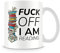 Fu*k Off I am Reading Birthday Gift Books Lover Teachers Day End of Term Coffee Tea Mug Unique 11oz White Ceramic Mug.