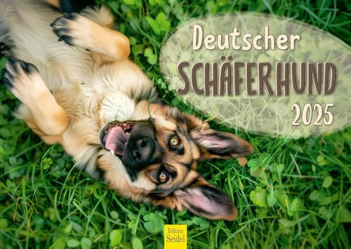 Edition Seidel Premium Kalender Deutscher Schäferhund 2025 Format DIN A3 Wandkalender Hundekalender Hund Haustier Hunderasse Welpen