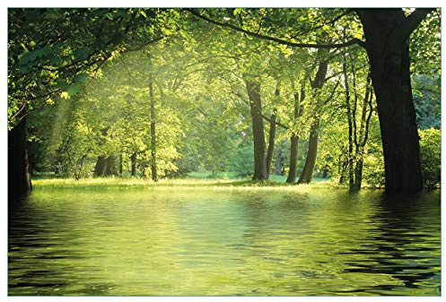Wallario Küchenrückwand selbstklebend 90 x 60 cm, Motiv: Idyllischer See im Wald bei Sonnenschein | Spritzschutz abwischbar & pflegeleicht