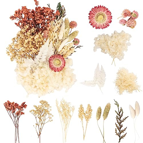 LAUMOE Trockenblumen, Getrocknete Blumen, Trockenblumen zum Basteln, Trockenblumen Weiß Trockenblumen Deko Mehrblütige Version für Kunst Basteln Dekoration