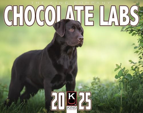 The King Company Wandkalender 2025, Schokoladen-Labrador-Hund, 16 Monate, Größe XL, 35,6 x 55,9 cm, bester Schokoladen-Labor-Hundekalender