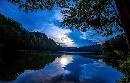 LHJOYSP Junge Geschenkideen Puzzel 1000 Teile,natürliche Schönheit,Wald,Fluss,Mond,Deutschland,Mainz,75x50cm