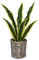 Sansevieria Planta artificial en cesta de ratán pequeña planta de interior artificial planta de serpiente artificial plantas artificiales como auténticas perfectas para cuarto de baño, dormitorio,