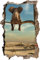 Stil.Zeit sitzender Elefant auf einem AST in der Wüste Wanddurchbruch im 3D-Look, Wand- oder Türaufkleber Format: 62x42cm, Wandsticker, Wandtattoo, Wanddekoration