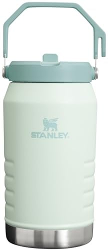 Stanley IceFlow - Vaso de acero inoxidable, botella de agua aislada al vacío para el hogar, la oficina o el automóvil, reutilizable, con popote, resistente a fugas, se puede voltear durante 12 horas o