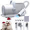 FIXR Aspirateur pour chien 11 000 Pa puissant 2,5 L avec 4 outils