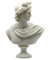 Apollo Skulptur griechischer römischer Gott Büste Kopf Statue Gussmarmor handgefertigt 52,8 cm