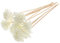WOFASHPURET 10stücke Diffusorstäbchen Aus Rattan Mit Chrysanthemen-duft Kleine Aromaöl-diffusorstäbchen Porös Für Heimdekoration Und Luftfrischung Weiß