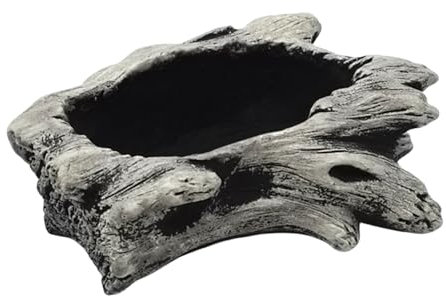 Maceta de jardín para suculentas, cactus, tronco, suculentas, macetas de tocón, macetas de raíz de árbol