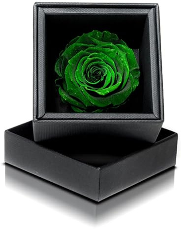 Aluisi Fiori Rosa Stabilizzata VERDE in Cofanetto Nero - Rosa Stabilizzata Vera - Rosa Eterna - Fiore Stabilizzato - Fiori Stabilizzati - Simbolo di Manifestazione e Attesa - Idea Regalo