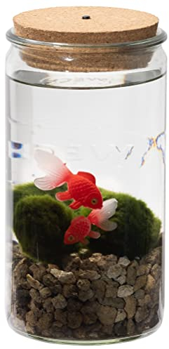 vdvelde.com - Waterworld Weck Glas - Deco Mooskugeln Vase mit Licht - Dein eigenes Mini Aquarium mit künstlichen Fischen - Mooskugeln aus unserer eigenen Gärtnerei - Aquarium Glas: 21x10,5 cm