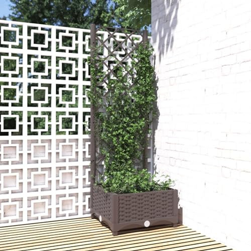 Rantry Jardinière de jardin avec treillis marron 40 x 40 x 121,5 cm en polypropylène avec panneau support pour plantes grimpantes pour terrasse, cour, entrée extérieure, balcon, parterre surélevé,