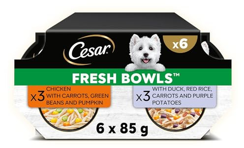 CESAR Fresh Bowl Adult Dog Chicken & Duck Taster Multipack 6x85g (Pack of 4)