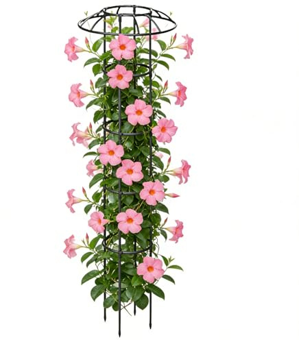 Gihioue Treillis pour grimpantes dans Le Jardin - Support Vertical Stable et résistant aux intempéries - Support pour d'extérieur - pour vignes, Roses, Fruits du Dragon, concombres