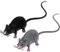LUOEM 2pcs Lifelike Fake Mouse Realistic Mice Spooky Rat Halloween Prank Toy Creepy Halloween Party April Fool's Day Decorations M (Black, Gray)