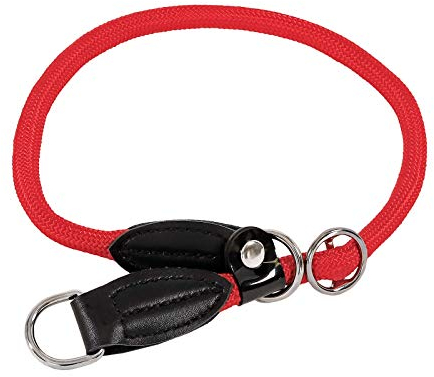 lionto Collier pour Chien en Nylon résistant pour l'entraînement, 65 cm de Long 1 cm d'épaisseur, Collier à Stop pour Chien, Simili Cuir avec Anneau métallique et réglage par Curseur continu, Rouge