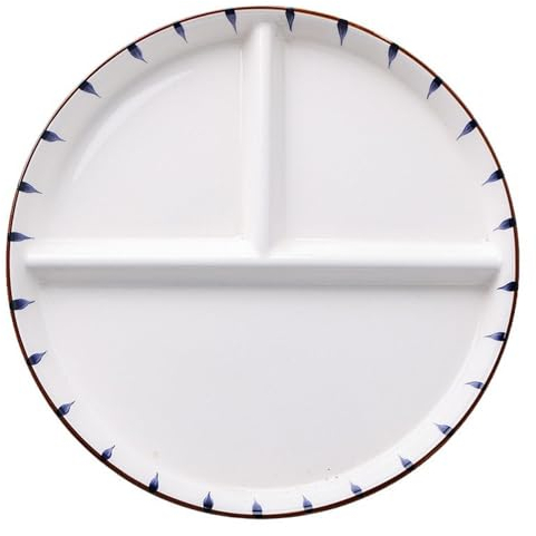 DouYuan Porcelain Divided Plate, 9 Inch Round Portion Control Plates for Adults Ceramic, Healthy Eating Section Plate for Dessert Salad Steak Sushi Spaghetti