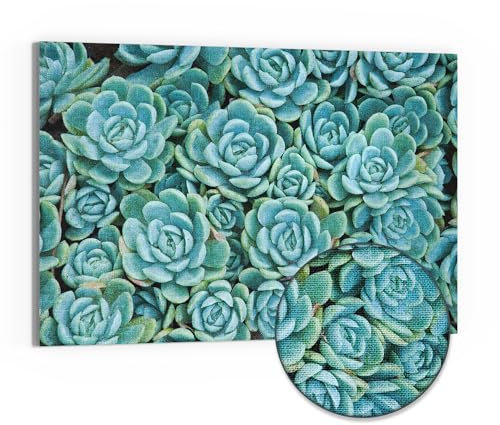 DEQORI Leinwandbild Hybrid | Motiv Sukkulente Symmetrie | Design Canvas 90x60 cm | Leinwand Bild flach & modern mit Glas | Wandbild für Wohnzimmer, Schlafzimmer, Flur & Küche