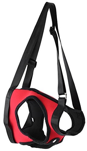 GLOGLOW 2 Arten Front & Rear Dog Support Harness, Wiederverwendbare Gehhilfe Unterstützung Hebe Pulling Vest für Alte & Verletzte Hunde(Hinterbein M)