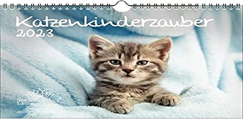 Katzenkinderzauber DIN A4 Kalender für 2023 Katzenkinder Katzenbabys - Seelenzauber, mehrfarbig, KN2023-4W-0008-D-0