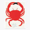 Shrig Shop David Shrigley Art Poster: You Got Beaten By A Crab, der offizielle Shop von David Shrigley