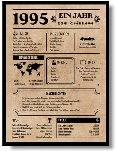 EQUIK PRODUCTS Jubiläumsposter 30 Jahre | Geburtstagskarte 1995 | Geburtstagsgeschenk für Männer und Frauen | Geburtsjahr 1995 | Vintage Poster | Dekoration und Geschenkidee | Zurück in 1995