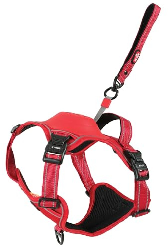 Zolux Easy Ride Geschirr für Hunde mit integrierter Rollleine, Größe L, Rot, atmungsaktiv, reflektierend, Brustumfang 63-80 cm, für Hunde 33-55 kg
