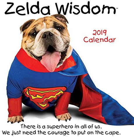Zelda Wisdom 2019 Wall Calendar