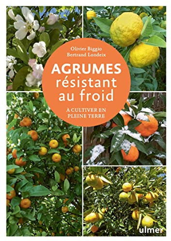 Agrumes résistant au froid: A cultiver en pleine terre