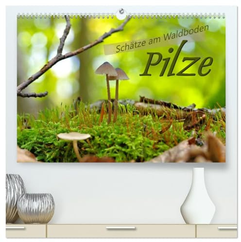 Pilze - Schätze am Waldboden (hochwertiger Premium Wandkalender 2026 DIN A2 quer), Kunstdruck in Hochglanz: Pilze - Begleiter durch den bunten Herbst (CALVENDO Natur)