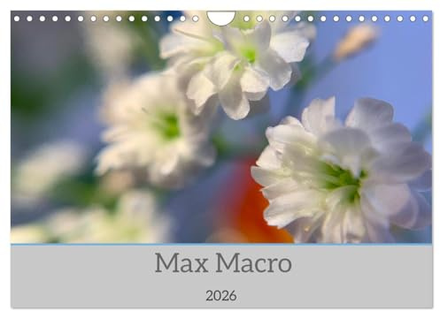 Max Macro (Wandkalender 2026 DIN A4 quer), CALVENDO Monatskalender: Macro Aufnahmen (CALVENDO Natur)