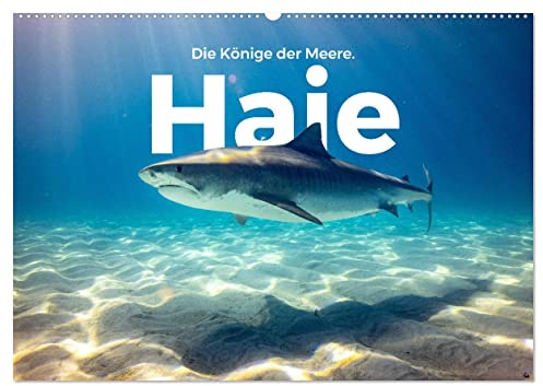 Haie - Könige der Meere. (Wandkalender 2026 DIN A2 quer), CALVENDO Monatskalender: Entdecken Sie die Unterwasserwelt der Haie. (CALVENDO Tiere)