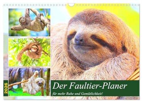 Der Faultier-Planer für mehr Ruhe und Gemütlichkeit! (Wandkalender 2026 DIN A3 quer), CALVENDO Monatskalender: Mit weniger Hektik und Stress lebt es sich um einiges entspannter! (CALVENDO Tiere)