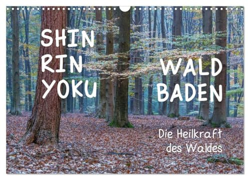 Shinrin yoku - Waldbaden 2026 (Wandkalender 2026 DIN A3 quer), CALVENDO Monatskalender: Zwölf einladende Fotografien inspirieren Sie, in die heilsame Waldatmosphäre abzutauchen (CALVENDO Gesundheit)