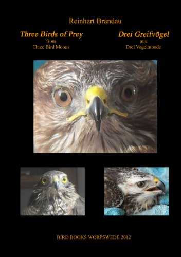 Three Birds of Prey - Drei Greifvögel (Bird Books Worpswede)