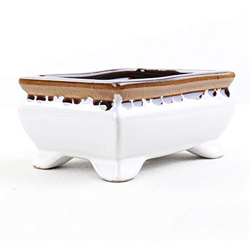 Maceta de cerámica con personalidad, más suculenta, blanca, grande, cuadrada, de flujo, esmaltada, sencilla, perforada, ventilada, verde, maceta de cerámica, decoración de guardería, hogar y oficina