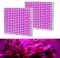 YRHome 2 Stück 45W Pflanzenlampe Pflanzenleuchte 225LEDs Wachstumslampe Rot&Blau Vollspektrum - Grow Lampe Pflanzenlicht mit 1.5m Kabellänge 310x 310x 35mm für Zimmerpflanzen Blumen