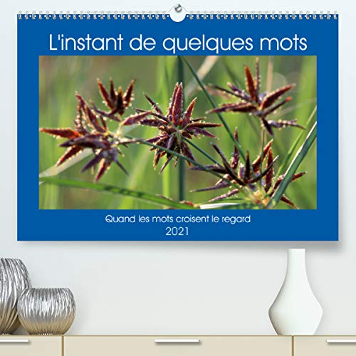 L'instant de quelques mots (Premium, hochwertiger DIN A2 Wandkalender 2021, Kunstdruck in Hochglanz): Quand les mots croisent le regard (Calendrier mensuel, 14 Pages )