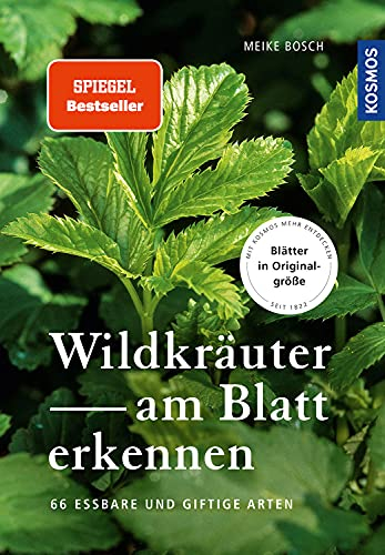 Wildkräuter am Blatt erkennen: 66 essbare Arten