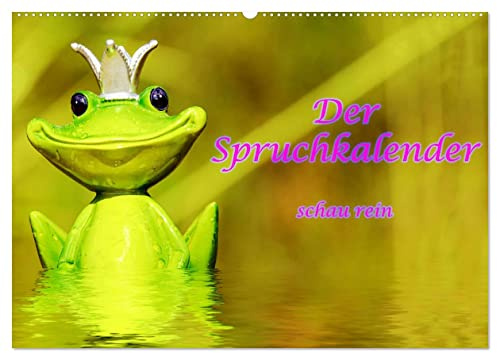 Spruchkalender - schau rein (Wandkalender 2026 DIN A2 quer), CALVENDO Monatskalender: Motivierende Sprüche - wunderschöne Bilder (CALVENDO Kunst)