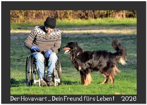 Der Hovawart... Dein Freund fürs Leben ! (Wandkalender 2026 DIN A3 quer), CALVENDO Monatskalender: Wandkalender, Monatskalender, 14 Seiten (CALVENDO Tiere)