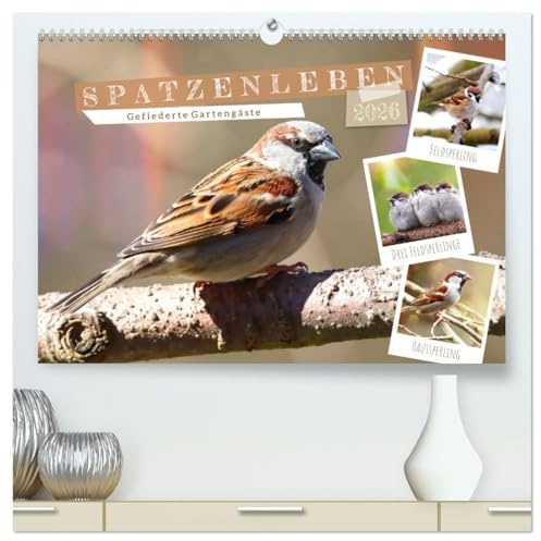 Gefiederte Gartengäste, Spatzenleben (hochwertiger Premium Wandkalender 2026 DIN A2 quer), Kunstdruck in Hochglanz: Liebenswerte Feld- und Haussperlinge (CALVENDO Tiere)