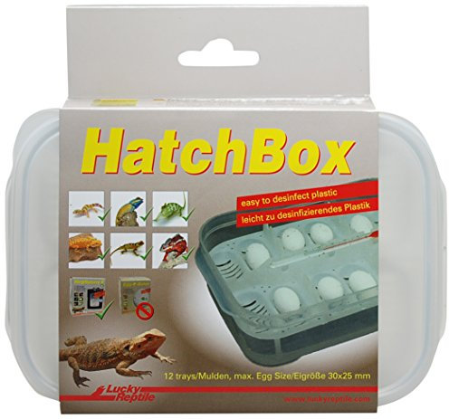 Lucky Reptile Hatchbox