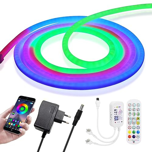 HEGEHE 24V RGB Neon LED Streifen, Wifi Wireless Smart Phone Gesteuert, WS2811 Adressierbare Wasserdicht Diffusion Silikon Neon Flex LED Schlauch, Kompatibel mit Alexa Google Assistant (10M)