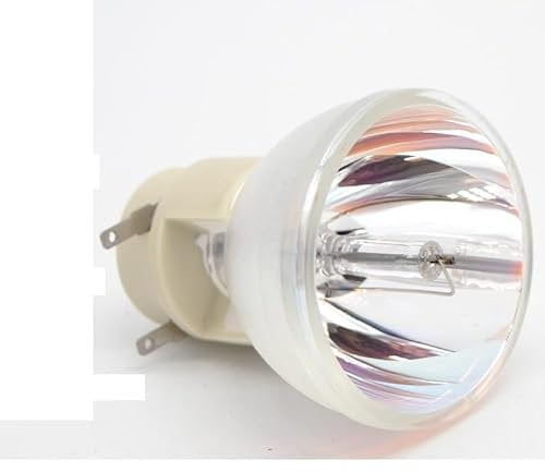 SeiZed SP.8LG01GC01 Lampe for Optoma DS211 DX211 ES521 EX521 EX521 Projektoren