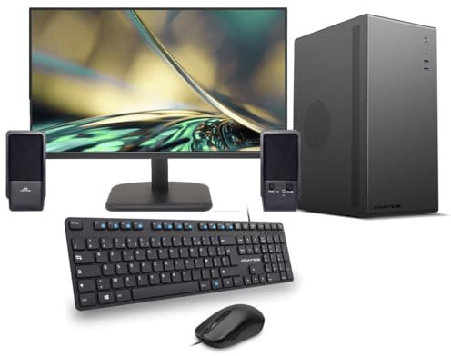 Générique PC Complet Ordinateur de Bureau Ecran 24 Pouces + Clavier & Souris + Haut-parleurs/Windows 11 Professionnel + Suite bureautique (2- Boitier Noir, Ryzen 3 / 8GB / SSD 500GB)